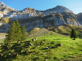 Fototapeta na wymiar Bergwand