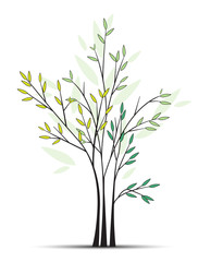Vector illustration of tree. Tree background with green leaves