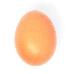close-up single egg chicken isolated on white background