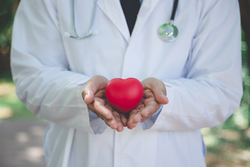 Close up of Doctor hands with red heart, cardiology concept.