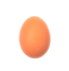 close-up single egg chicken isolated on white background