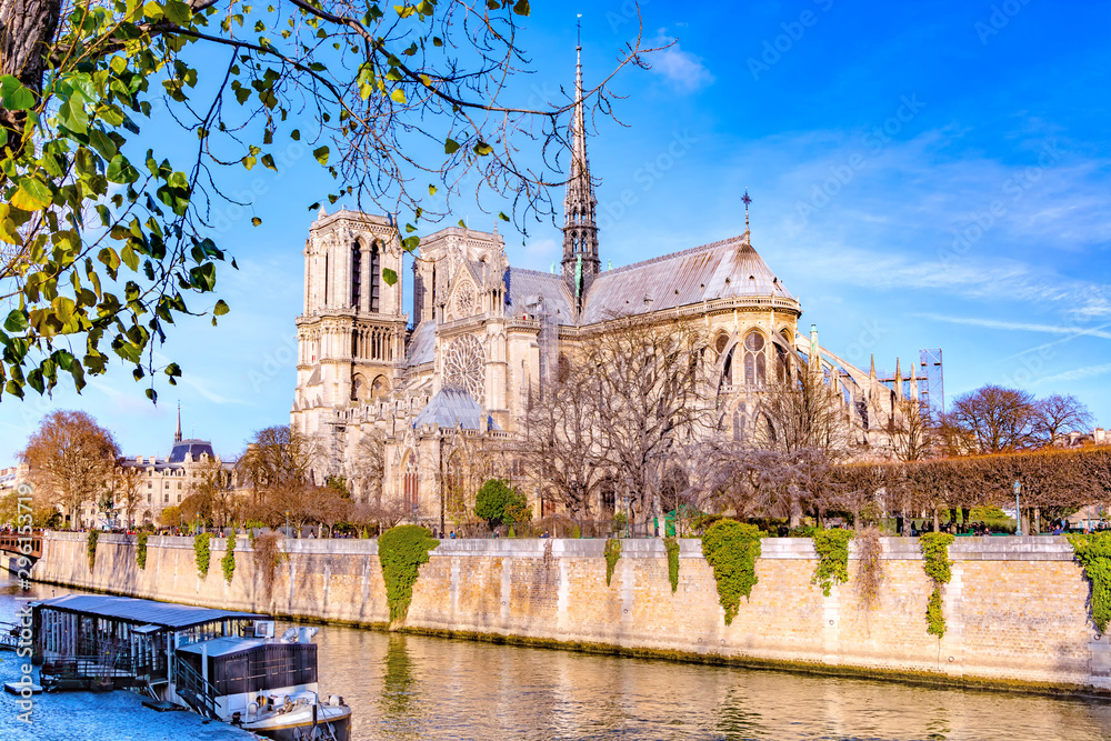 Wall mural notre dame de paris cathedral, france