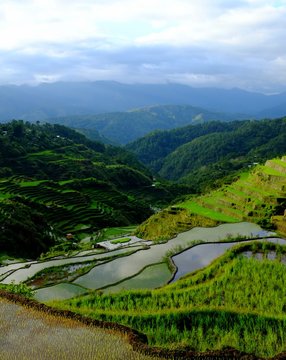 The rice terraces of Maligcong in Mountain Province, Philippines