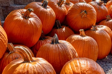 pumpkins for sale at the market