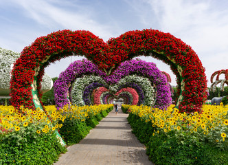 Dubai,UAE / 11. 06. 2018 : Colorful heart shaped flowers alley in Dubai Miracle Garden