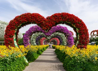 Foto auf Alu-Dibond Dubai, Vereinigte Arabische Emirate / 11. 06. 2018: Bunte herzförmige Blumenallee im Dubai Miracle Garden © Bernadett