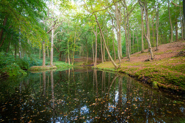 See im Buchen Wald auf Insel Rügen im Herbst