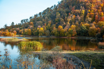 mountain with forets with lake under sky