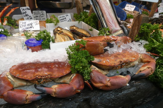 Fish Market
