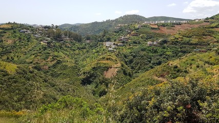 Fototapeta na wymiar The beautiful nature of the mountains is abundantly overgrown with green vegetation in the vicinity of the city of Skikda. Algeria. April 28, 2018