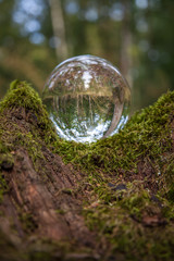 Glaskugel im Wald Blick hindurch gespiegelt