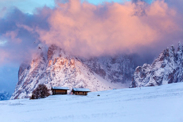 Beautiful Winter at Alpe di Siusi, Seiser Alm - Italy - Holiday background for Christmas.