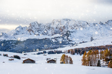 Beautiful Winter at Alpe di Siusi, Seiser Alm - Italy - Holiday background for Christmas.