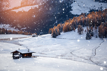 Beautiful Winter at Alpe di Siusi, Seiser Alm - Italy - Holiday background for Christmas.