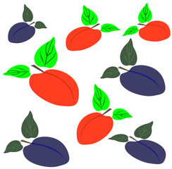 peaches and plums harvested vector image
