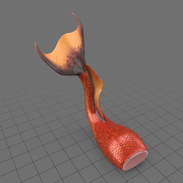 Mermaid tail 3