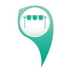 Grilled chicken icon