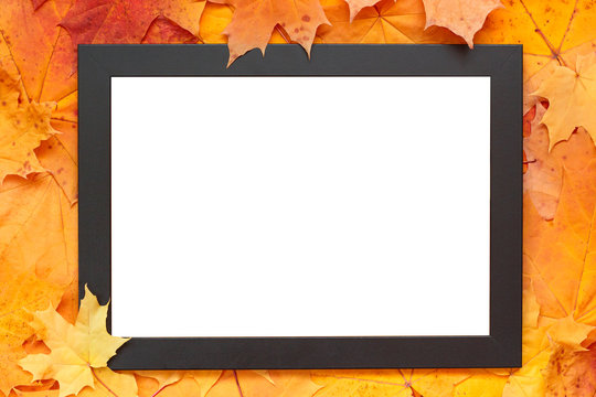 Empty blank frame on autumn maple leaves background. Fall mockup