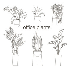 Set of house plant Line drawing vector illustration.
