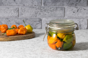 Marinated peppers variety preserving jars. Homemade chili peppers pickles. Fermented food.