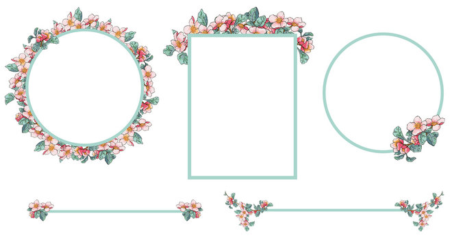 Apple blossom frames and dividers