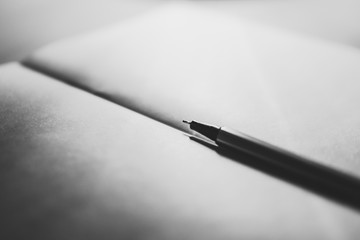 pen on an empty notebook. creative crisis concept.