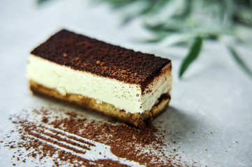 a piece of delicious fresh cake on a stone