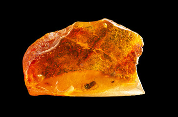 A small piece of Baltic amber with prehistoric insects inside. Inclusion in amber. Isolate on a black background. - obrazy, fototapety, plakaty