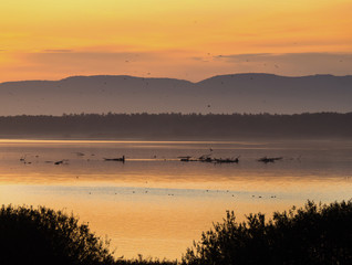 Obraz na płótnie Canvas Sunset scene on lake