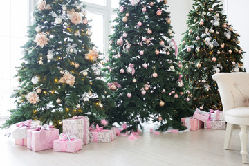 Blurred background. Three elegant Christmas trees in a bright room. New Year's and Christmas