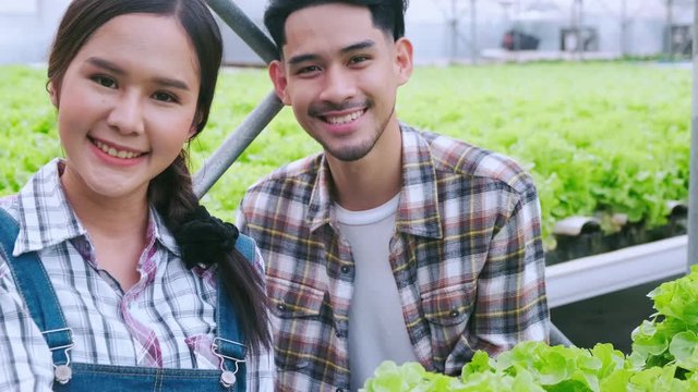 4k slow handheld asian couple farmer takecare and discuss how to growth plant in hydroponic farn greenhouse background