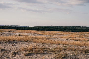 paisaje desierto polonia desert poland