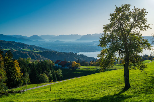 klarer, leuchtender Herbsttag mit Blick auf Bodensee, Bregenz, Alpsteingebirge und Montafon, A, Vorarlberg, Bregenz, Pf&auml;nder, Blick auf den Bodensee