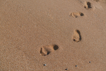 footprints in the sand left by me on the Adriatic