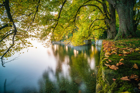 D, Bayern, Bodensee, LIndau, Lindenhofpark, Goldener Oktober am Bodensee, glatte, ruhige Wasserfläche, niederhängende Äste, Laub