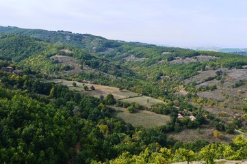 the landscape of the hills in the summer