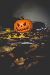 halloween background with pumpkins and autumn leaves