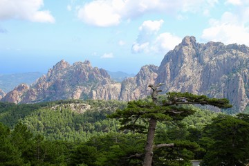 Fototapeta premium Montagne