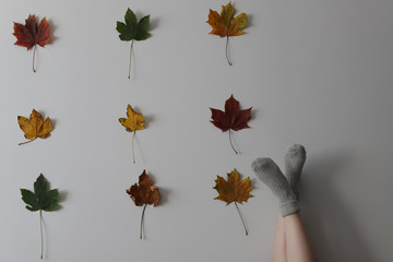 Women wearing grey knitted cozy socks in different position on the white background with red green yellow maple leaves on it in three rows of three