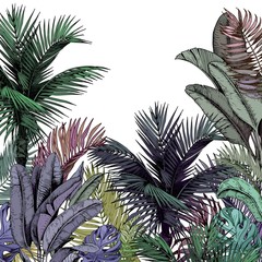 Colorful tropical palm trees. Rainforest scenery. Hand drawn vector illustration isolated on white background.