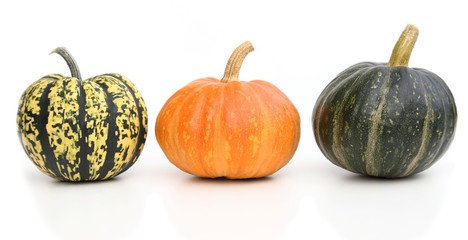 Pumpkins.