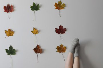 Women wearing grey knitted cozy socks in different position on the white background with red green yellow maple leaves on it in three rows of three