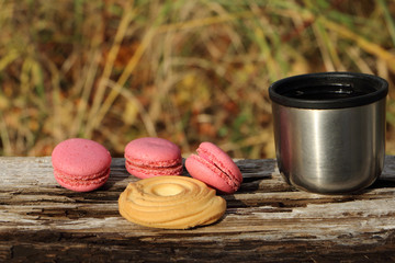 autumn picnic tea with cookies and macaroons