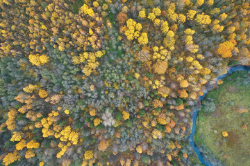 Aerial view with a drone. Winding river with autumn forest, top view