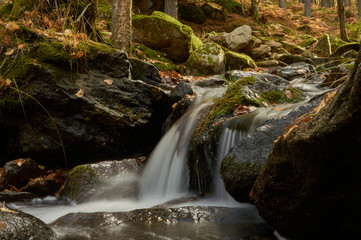 Cae el oto&ntilde;o en el arroyo del Sestil del Ma&iacute;llo en el Parque Nacional de Guadarrama. Comunidad de Madrid. Espa&ntilde;a