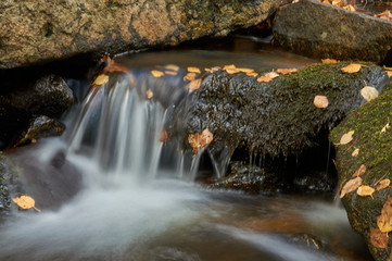 Cae el otoño en el arroyo del Sestil del Maíllo en el Parque Nacional de Guadarrama. Comunidad de Madrid. España