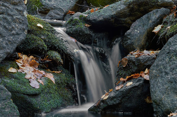 Cae el oto&ntilde;o en el arroyo del Sestil del Ma&iacute;llo en el Parque Nacional de Guadarrama. Comunidad de Madrid. Espa&ntilde;a