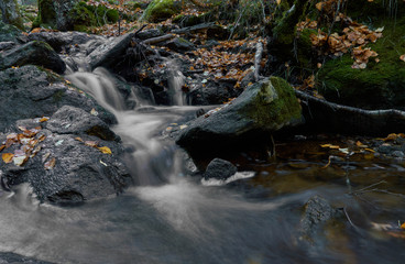 Cae el otoño en el arroyo del Sestil del Maíllo en el Parque Nacional de Guadarrama. Comunidad de Madrid. España