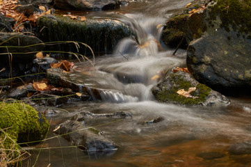 Fototapeta na wymiar Cae el otoño en el arroyo del Sestil del Maíllo en el Parque Nacional de Guadarrama. Comunidad de Madrid. España