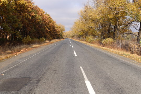 Asphalt rural road. Autumn trees with yellow leaves on both sides of the road.